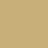 Acute Pair Single Vision Half Frame